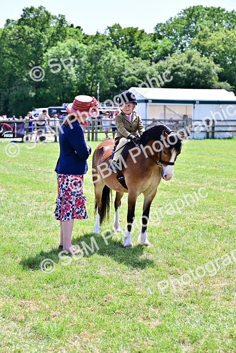 SBM_06106 - Class 59-60 - TSR M&M  Lear Rein and First Ridden Amateur of the year
