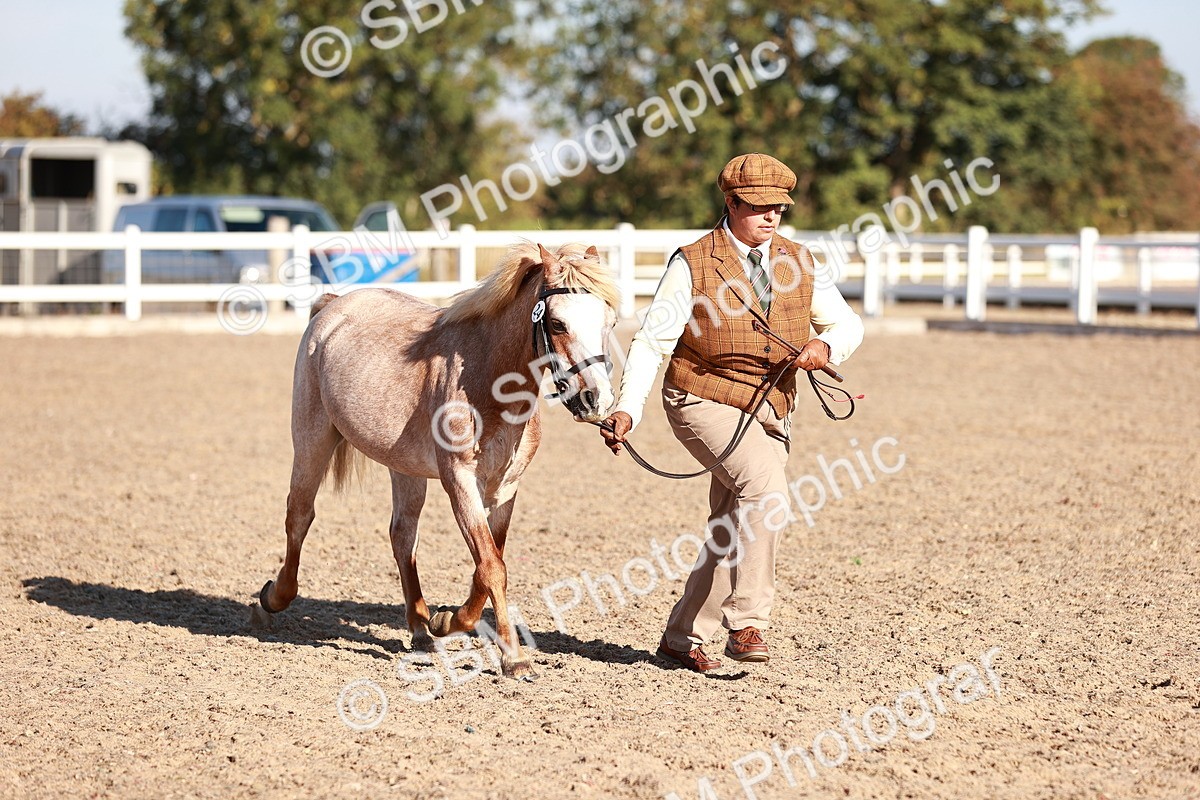 SBM_11437 - Class 402 - IH  Veteran pony