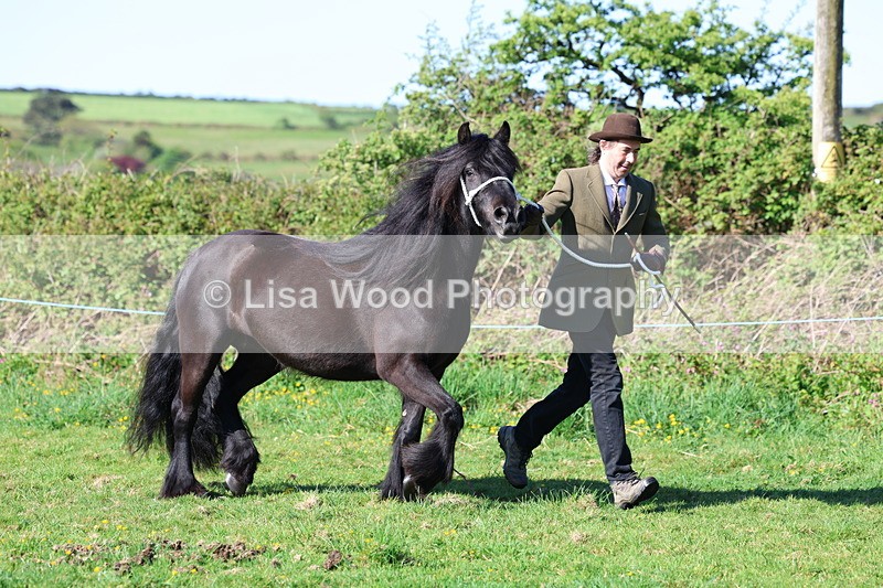 3E7A8567 - Class 13: M & M Large Breeds