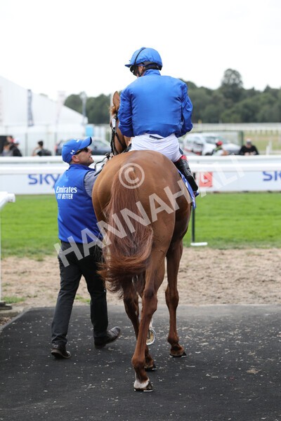 yr20082022r2-13 - Race 2 2.35pm Sky Bet Melrose Stakes