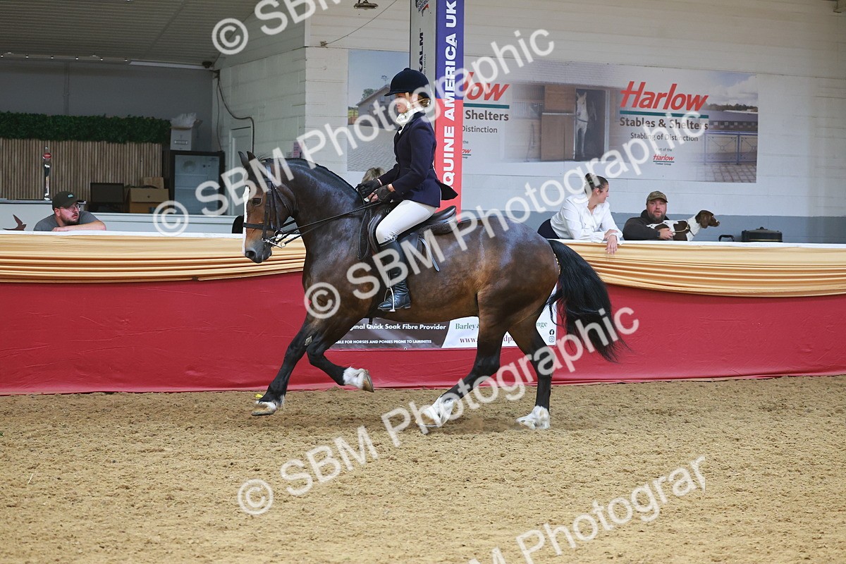 SBM_17798 - Class 952 - M&M Ridden Supreme Final