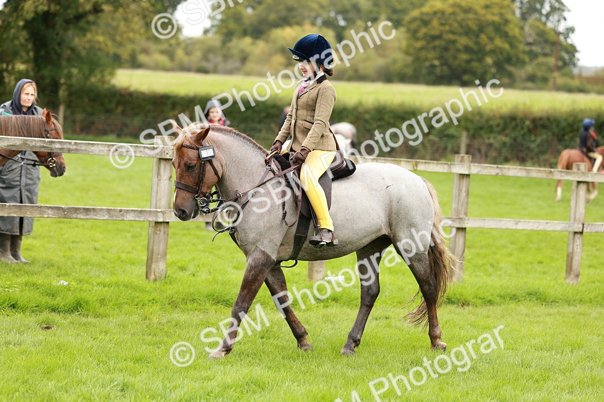 SBM_41812 - S32 - Mountain & Moorland Working Hunter Pony