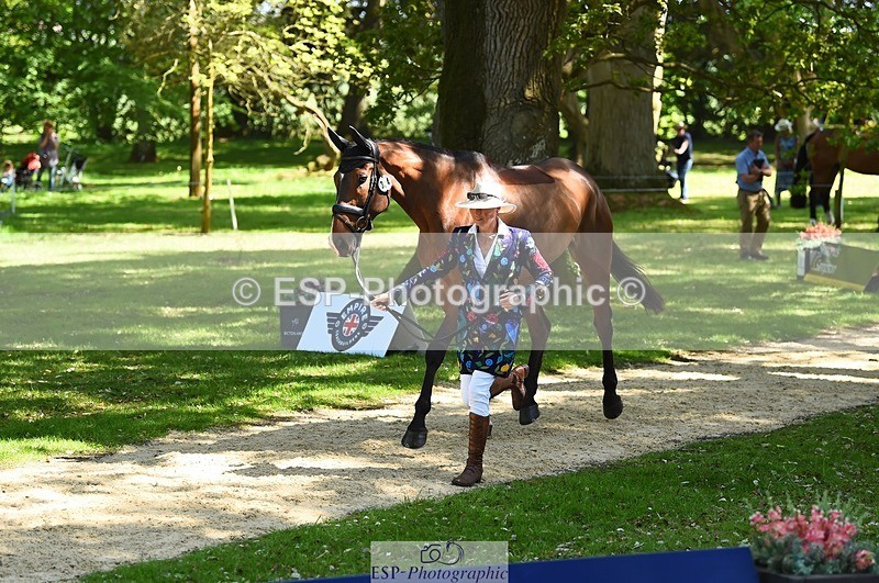 230524-152122-00221 - 324-DRUMGIVEN_MR_CHARISMA-Jeanette_Brakewell-WEDTrotUp+DR