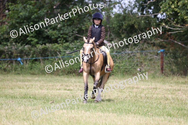 20260614-1909 - Class 21 - Novice Working Hunter Pony