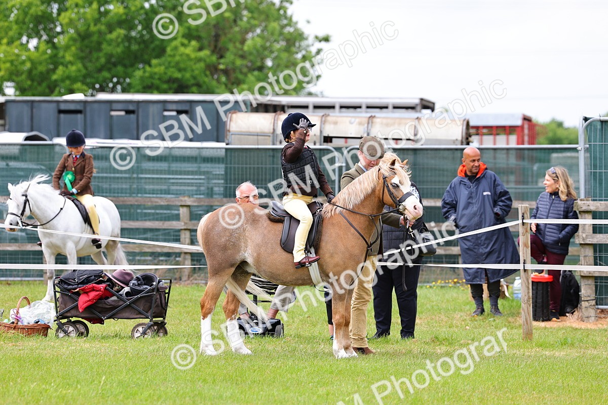 SBM_08182 - Class 42-43 - LIHS BSPS Heritage Working Sports Pony