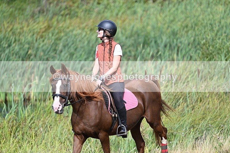 WJ7_5230 - Time 11:22 to 11:41