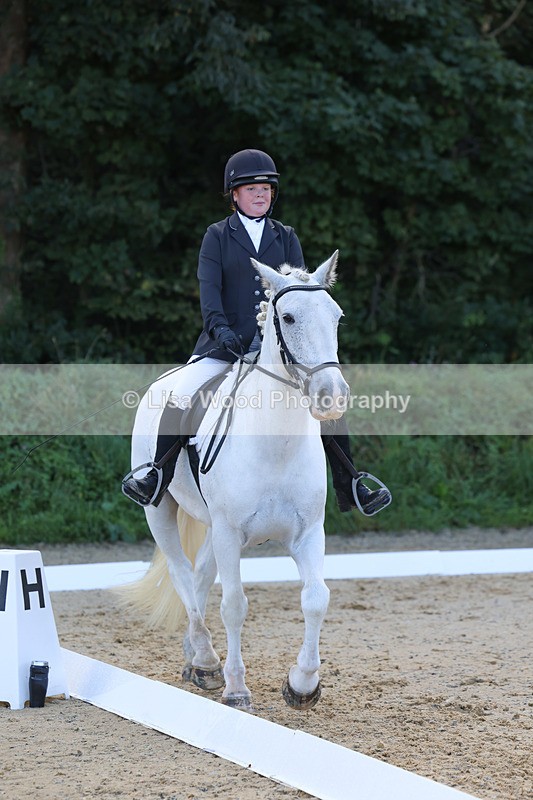 3E7A2443 - Class 1: Intro 4 2024 section A