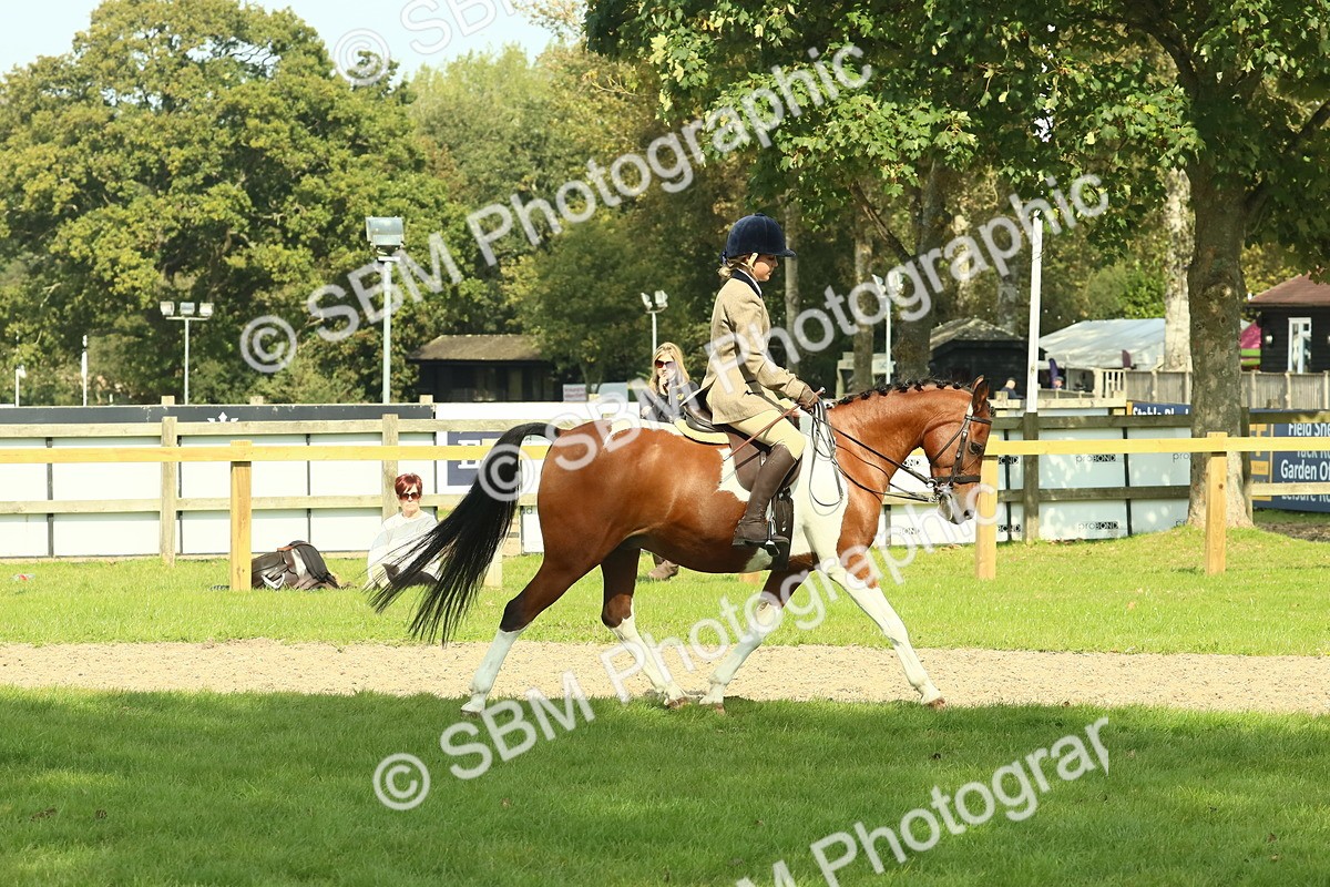 SBM_67485 - S56 - Coloured Pony Ridden