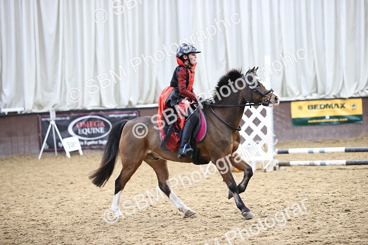 SBM_000689 - Class 2 - Show Jumping 50cm