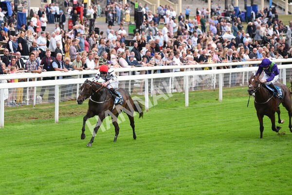 yr04092022r4-21 - Race 4 3.30pm Federation of Bloodstock Agents Nursery Handicap