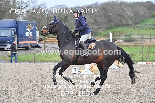 BPP_1055 - CLASS 2 Club/ Unaffiliated 80cms Open
