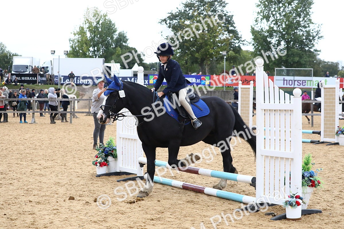 SBM_68188 - J3b - Mini Tour Junior Pony 40cm Championship