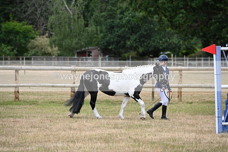 WJ6_4180 - Class 10 Coloured In-hand