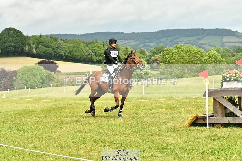 250524A-145835-13818 - C-216-Harrison.Chart-MY.KIND.OF.LADY