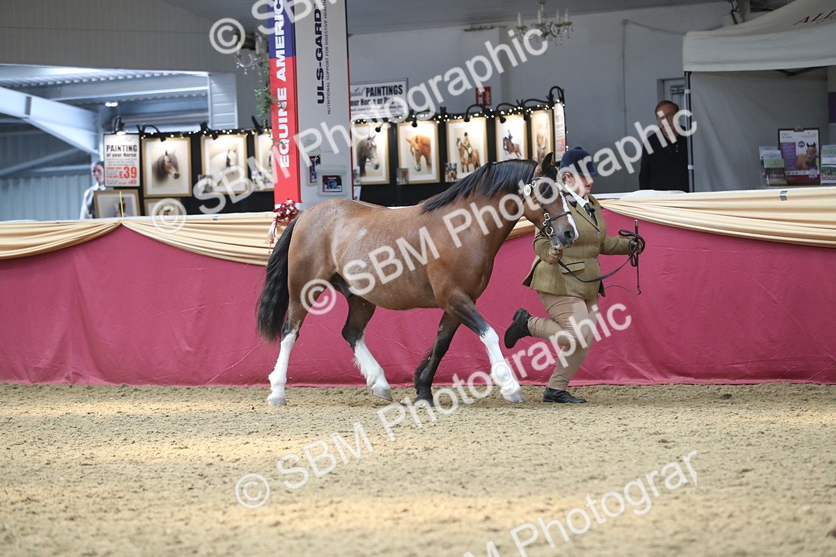 SBM_15217 - Class 501 M&M IH Supreme Final