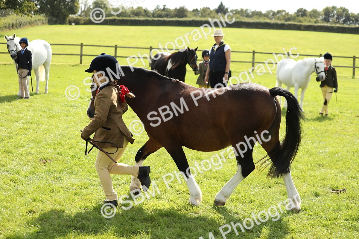 SBM_67770 - S39 - Junior Handler 8  Years & Under
