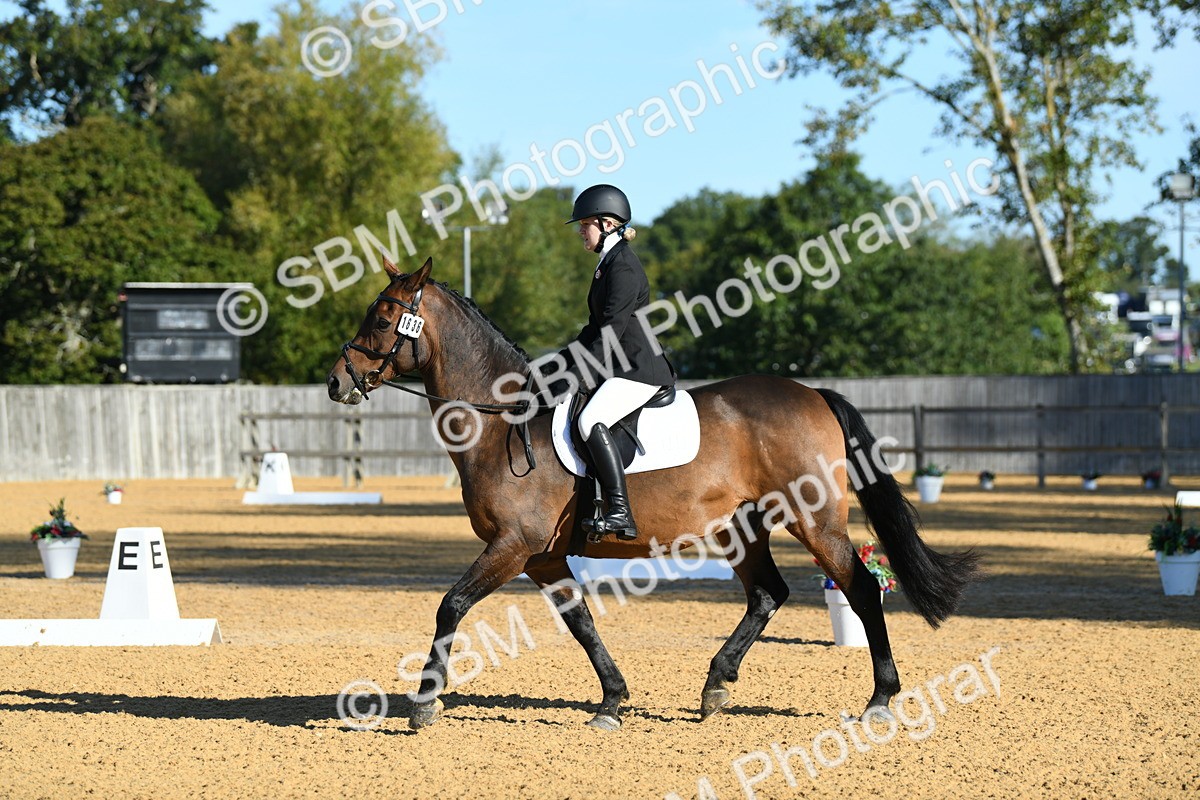 SBM_16195 - D4 - Small Tour Championship - Intro B