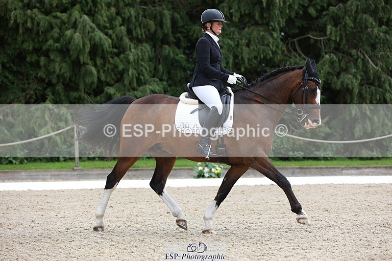 230813-151725-08031 - Cls 11 Elem Bronze 14.30 to End