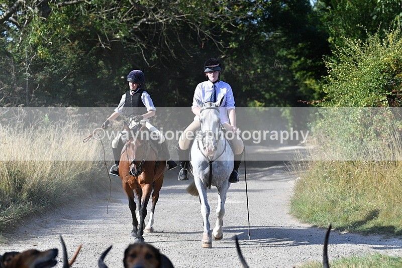 WJ5_4814 - Walk out with the hounds