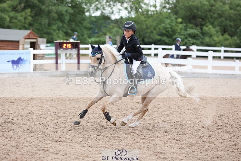 240630A-184916-16508 - Cls 29 Springboard 128cm + 138cm