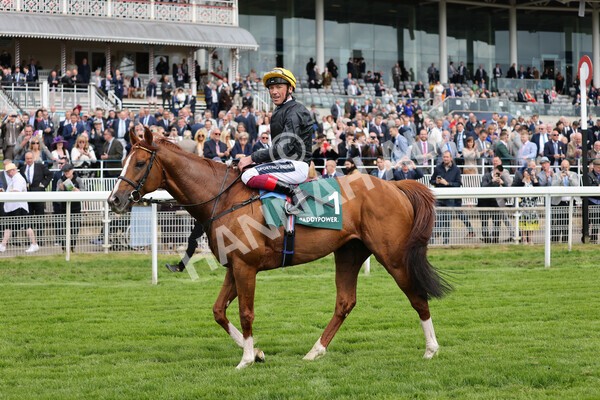 yr13052022r4-93 - Race 4 3.35pm The Paddy Power Yorkshire Cup (British Champions Series Race)