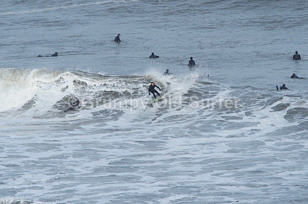 DSC_4360 - Cayton Point 30th October 2017