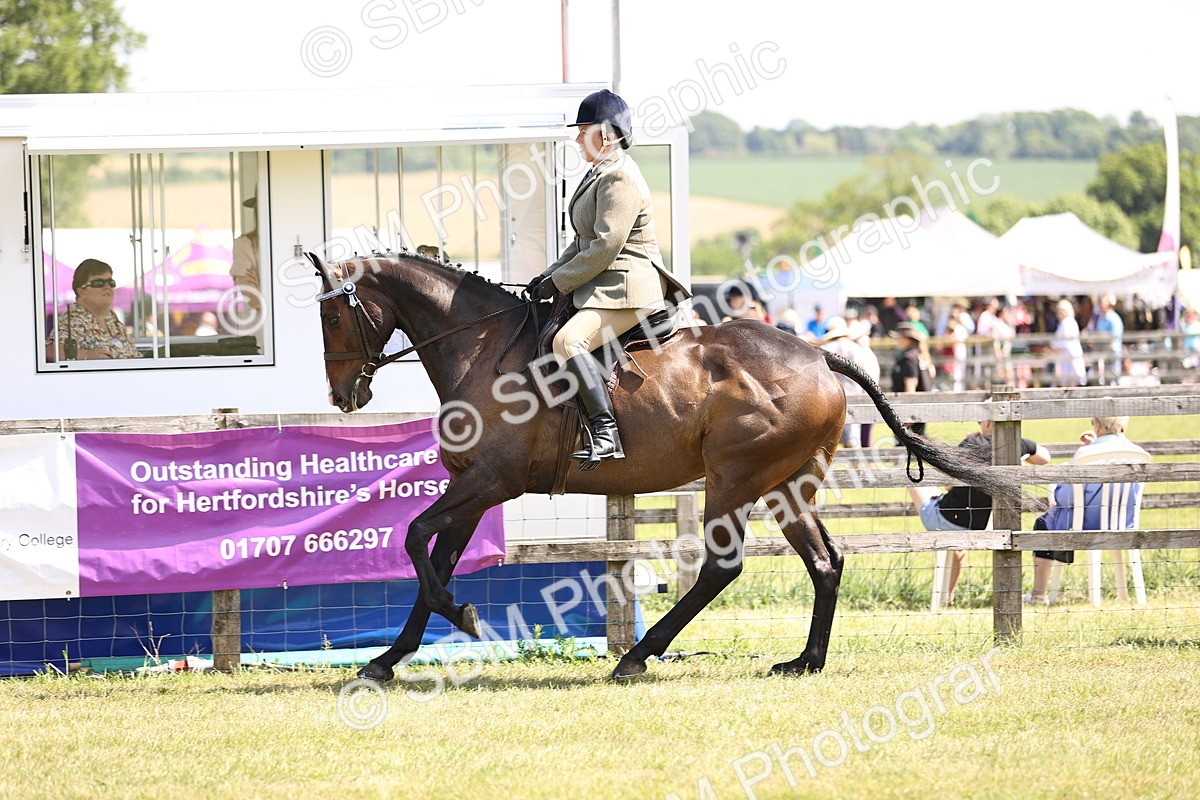 SBM_14896 - Class 78 - LIHS BSHA Open Racehorse & Show Horse