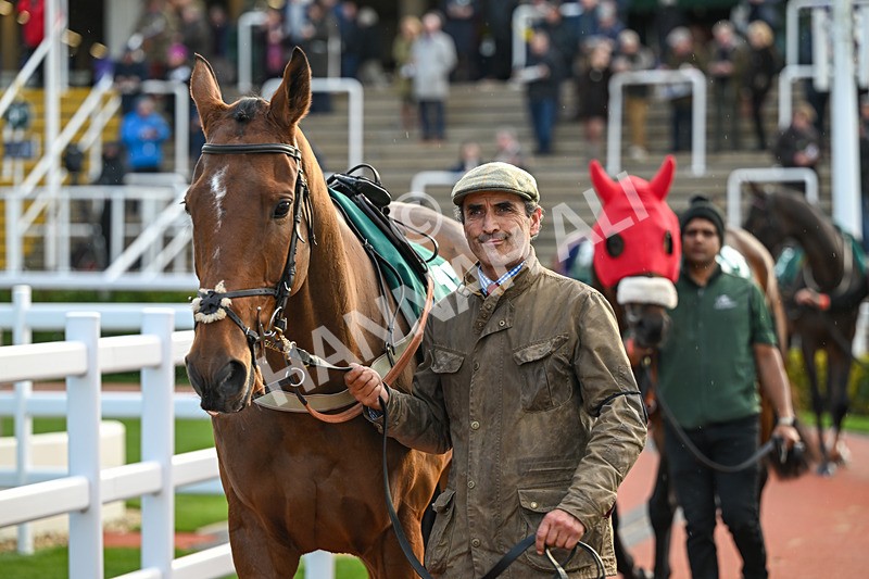 241025-Race 7-Animal-5064 - Race 7