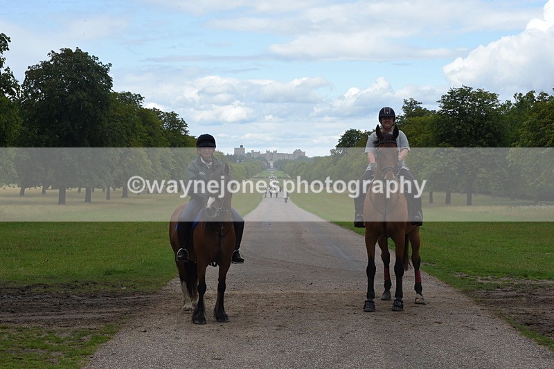 TT3_0454 - Time at Crossing 14:53 to 1526