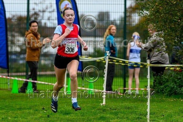 WestRLY25-923528 - Young Female Set Two