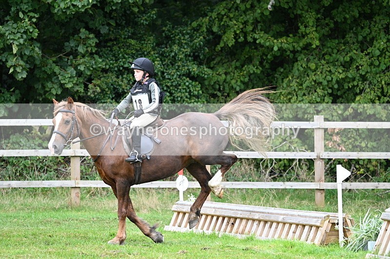 WJ7_7476 - 40cm Time 10:27 to 10:47