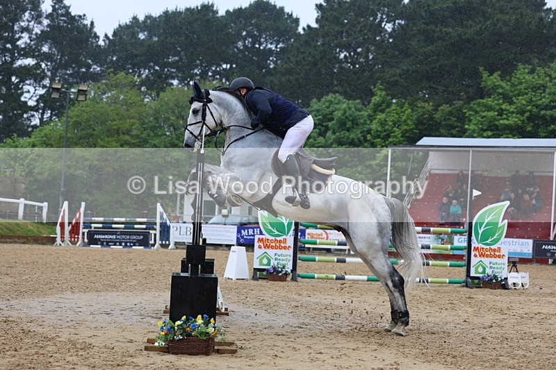 3E7A7383 - Class 8: Senior Foxhunter/1.20 open