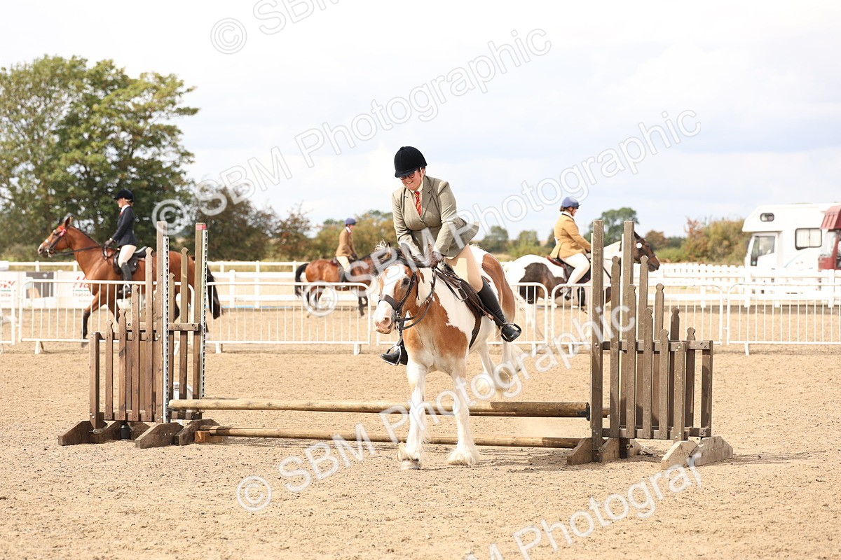 SBM_05209 - Class 56b -  Style & Performance - 50cm (20+)