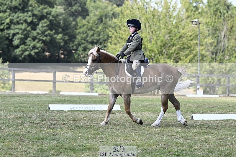 250822A-124901-21919 - DR 12.00 to End