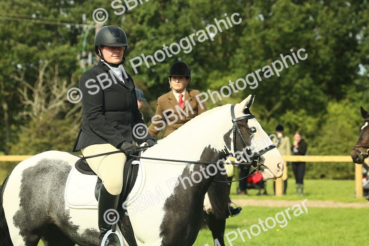 SBM_66579 - S34 - Rehabilitated Rescue Horse & Pony In Hand & Ridden