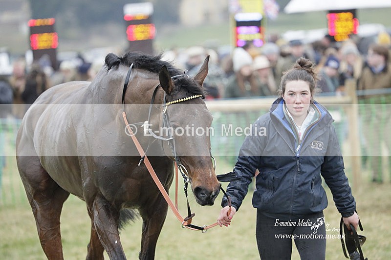 PtP 040323 762 - Duke of Beauforts Hunt Point-to-Point Didmarton 04/03/23