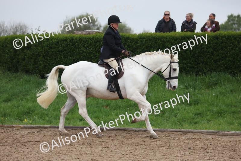 20260504-1106 - Class 14 - Cob and Hunter