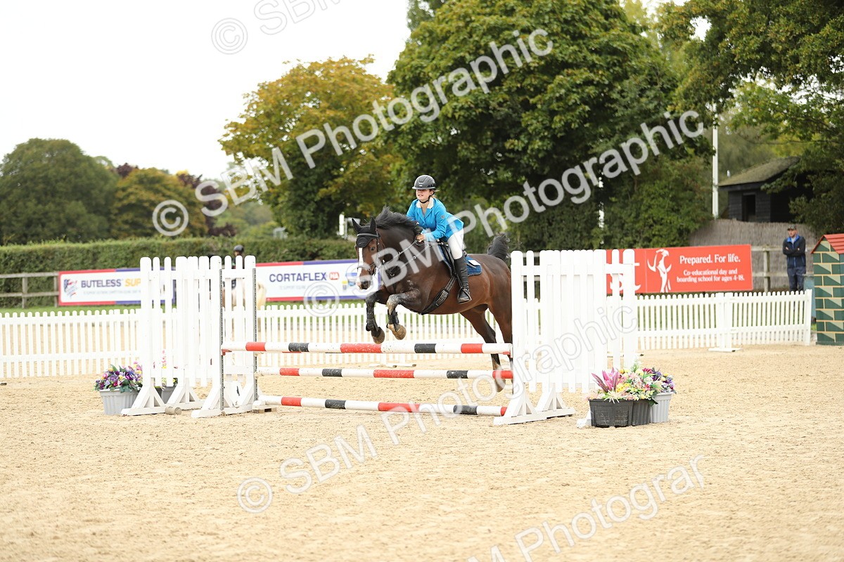 SBM_63066 - Supreme championship 75cm 80cm