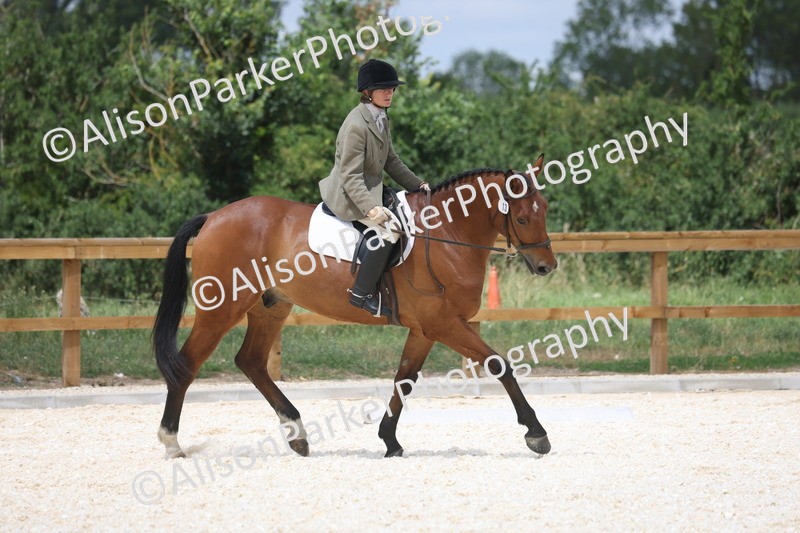 20260704-0800 - Class 5 - Novice 3
