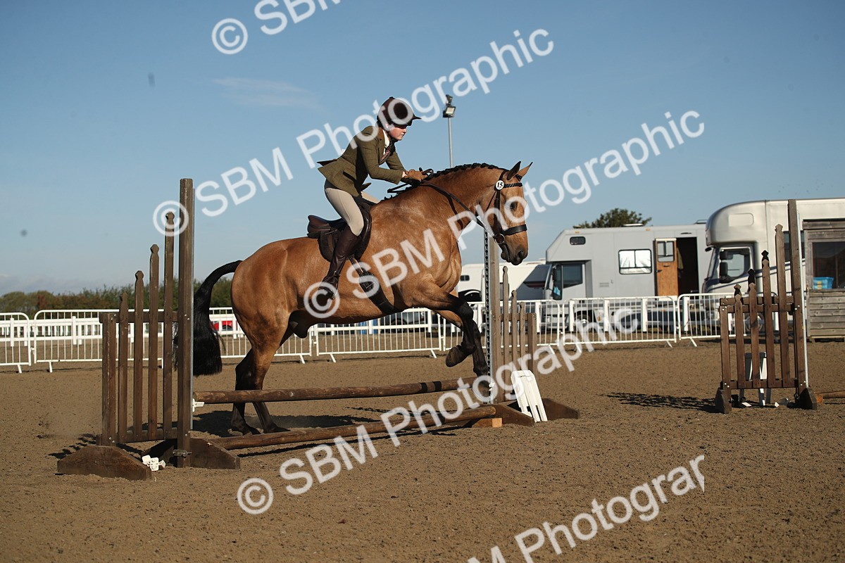 SBM_11337 - Class 501 -Riding Club Pony