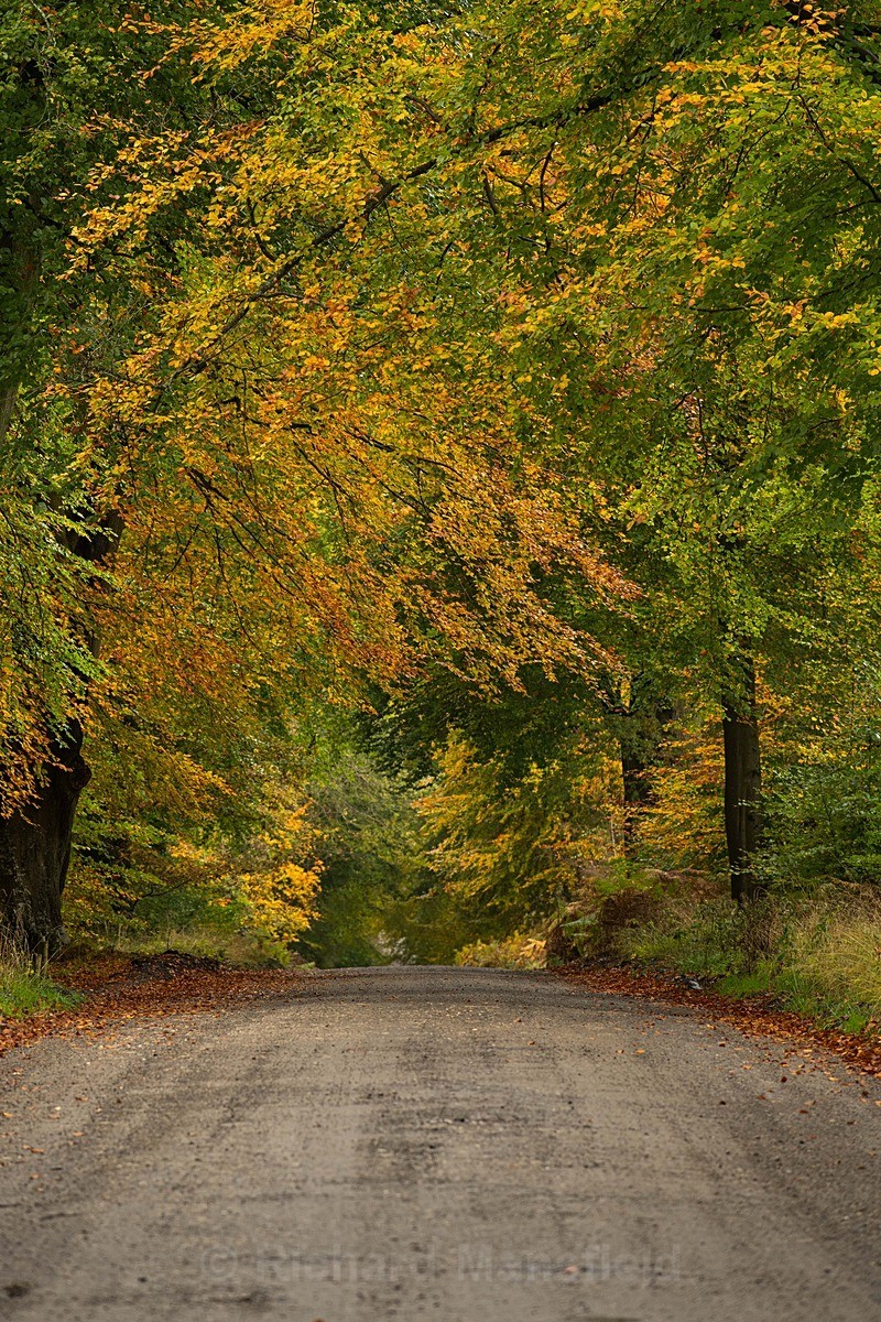  - Autumn