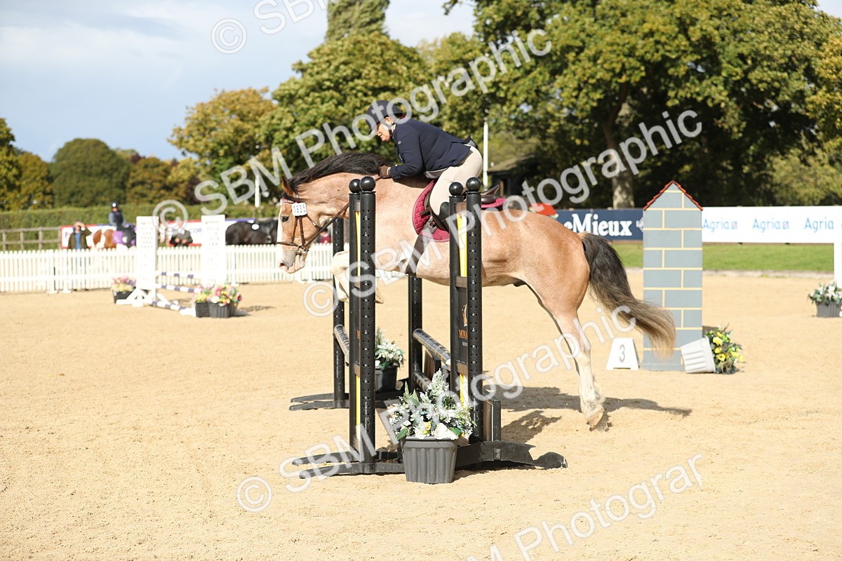 SBM_09931 - J36 - Veteran Rider 70cm