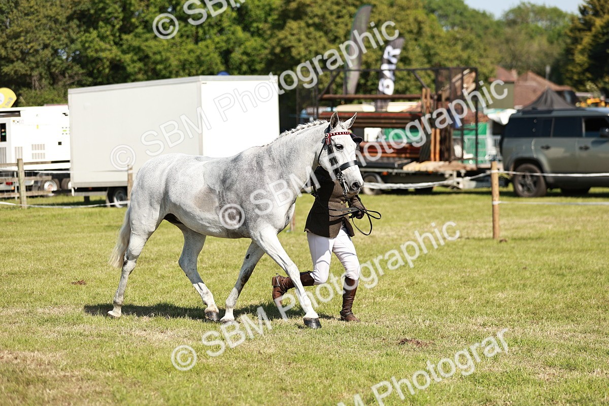 SBM_18903 - Class 114 - RIHS & SEIB Open Working Show Horse