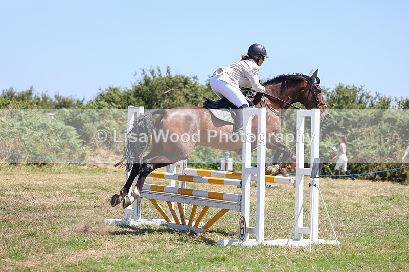 3E7A4346 - Class 10: Senior British Novice/90cm open