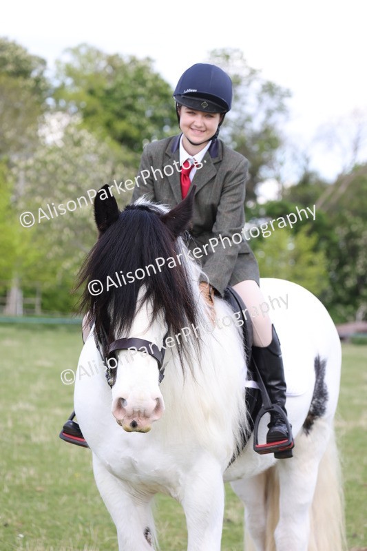 20250427-4089 - Class 34 - Best Riding Horse Over 14.2hh