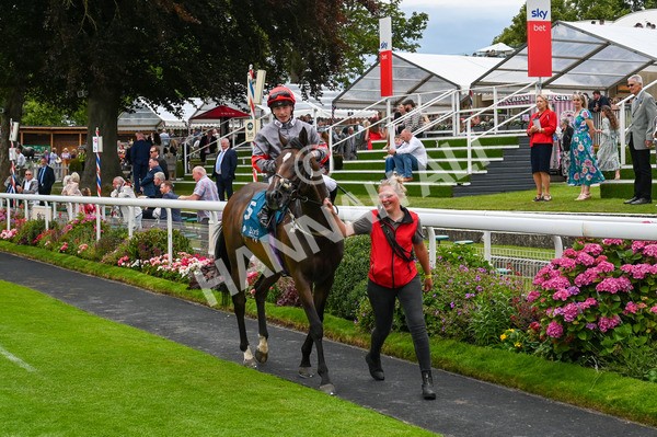 270724-Race 5-Theme Park-9752 - Race 5 4.35pm Sky Bet Prize Drop Handicap