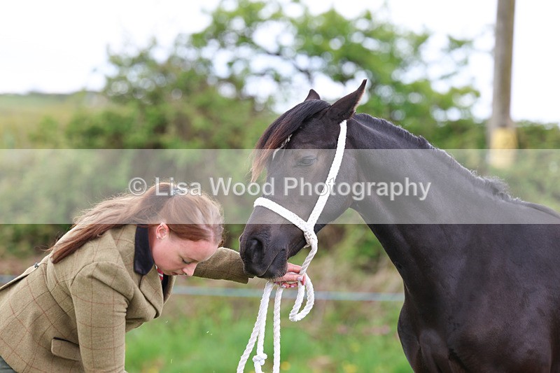 3E7A0841 - In Hand Championship