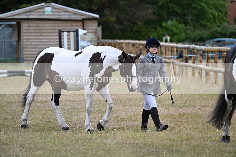 WJ7_9059 - Class 4a Prettiest Mare 14.2hh and over