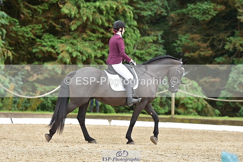 250719A-152404-06799 - 099-Paige.Beattie-Orcaber.Dark.Secret