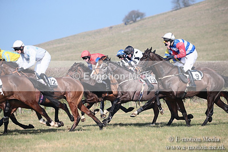 PtP 230219 236 - Vine & Craven Point-To-Point - Barbury 23/02/19